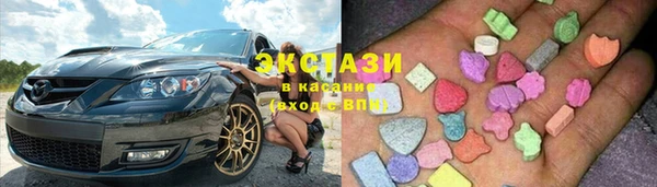 гидра Богородск