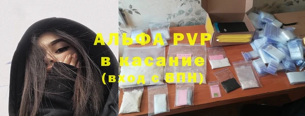 гидра Богородск