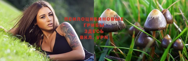 марихуана Богородицк
