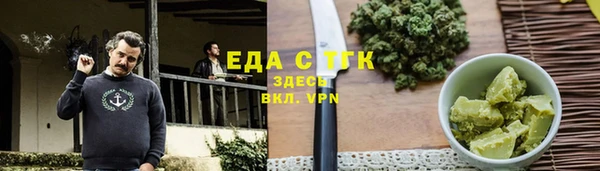 гидра Богородск