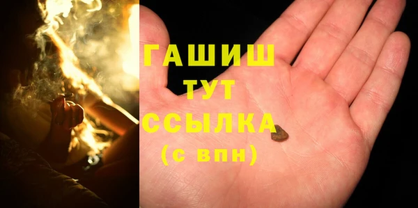 гидра Богородск