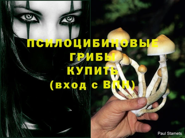 гидра Богородск