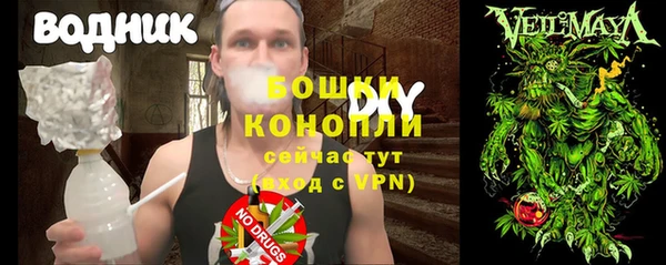 гашик Богданович