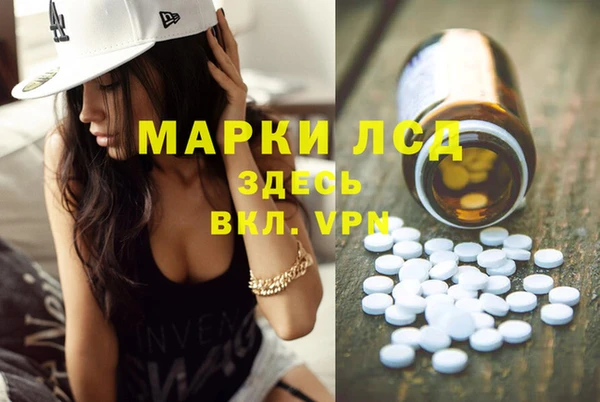 гидра Богородск