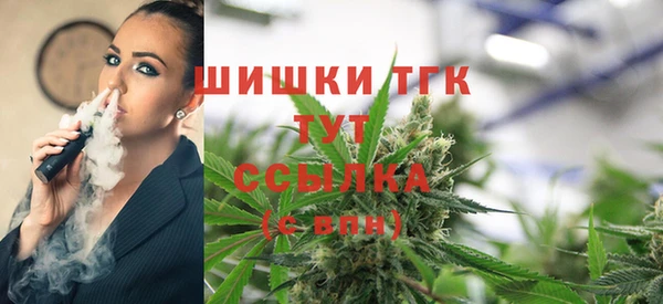 гашик Богданович