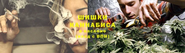 гидра Богородск