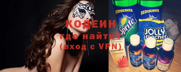гидра Богородск