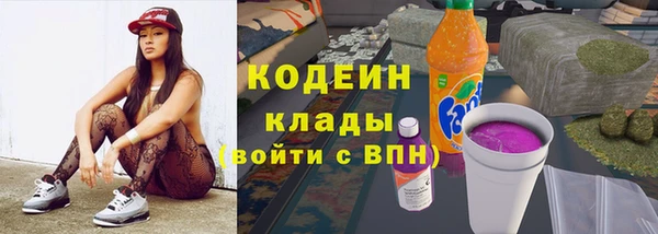 гашик Богданович